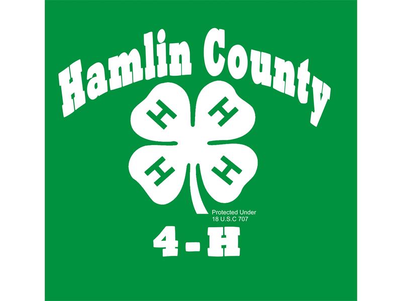 Logo for 2023 Hamlin County Horse Show