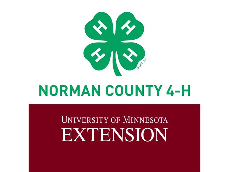 Logo for 2024 Norman County Fair