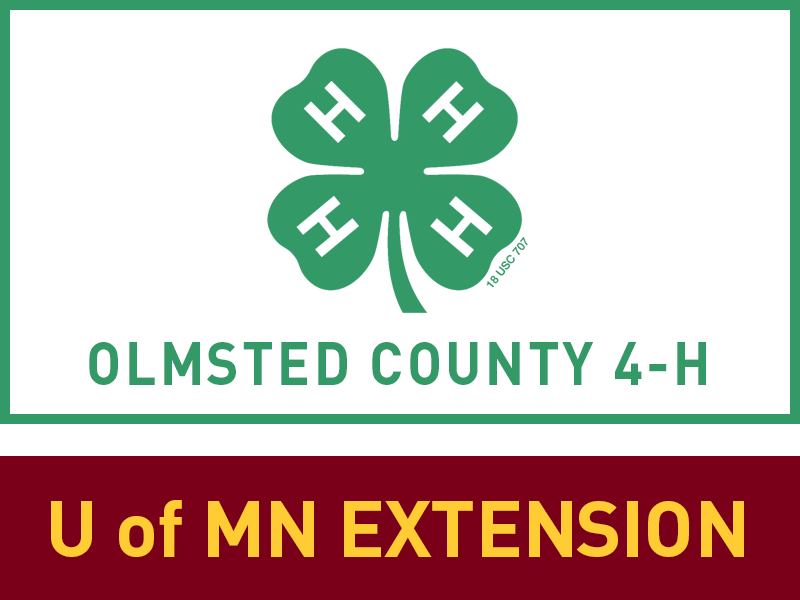 Logo for 2024 Olmsted County Fair