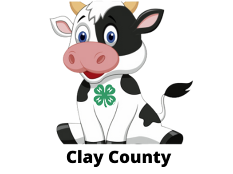 Logo for 2024 Clay County Fair