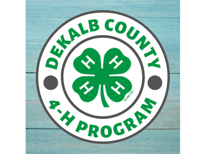 Logo for 2024 DeKalb County Summer Judging