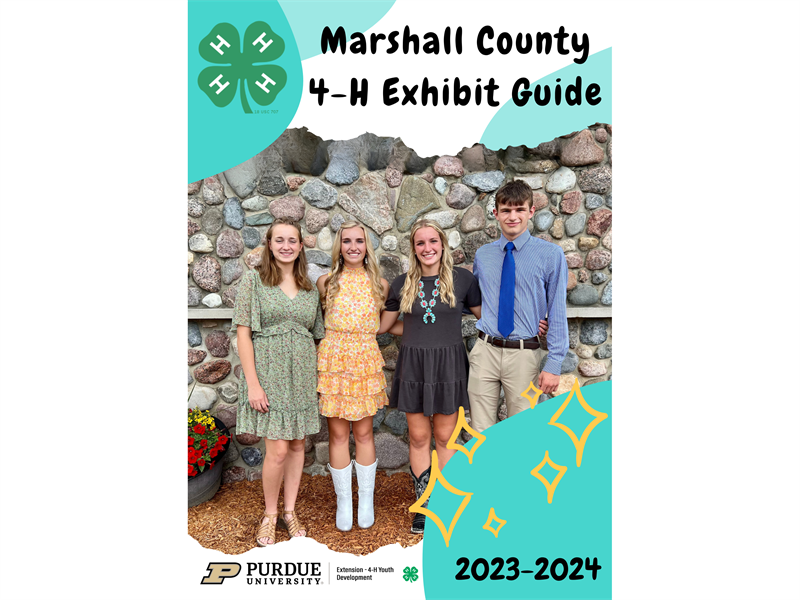 Logo for 2024 Marshall County Fair