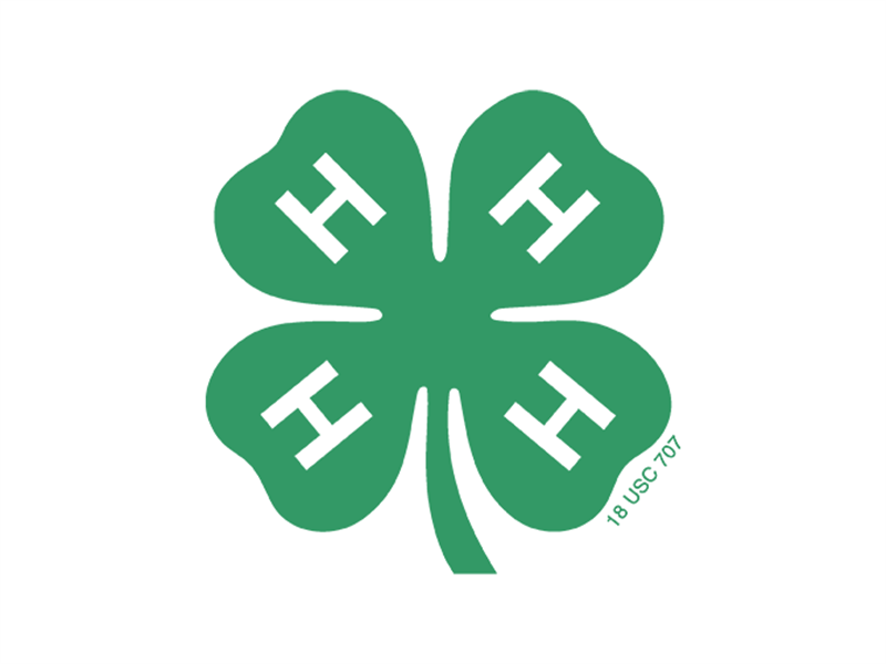 Logo for 2024 Switzerland County 4-H Fair