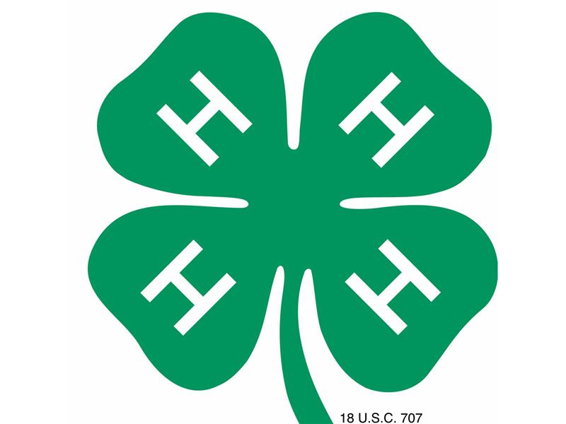 Logo for 2024 Mercer County Fair