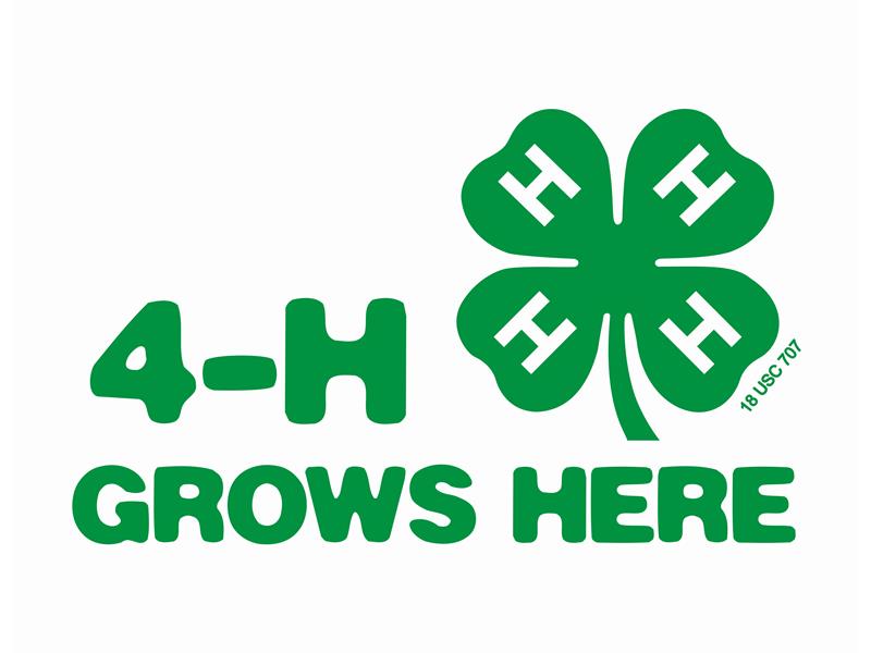 Logo for 2025 Renville County Fair