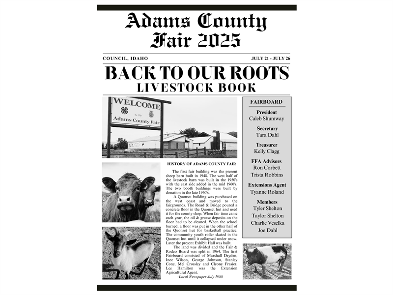 Logo for 2025 Adams County Fair