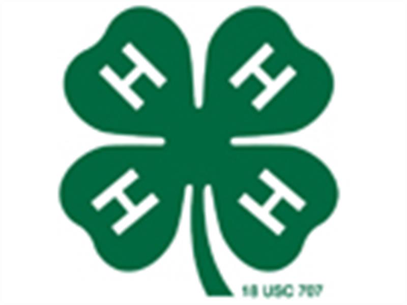 Logo for 2026 Cumberland County Fair