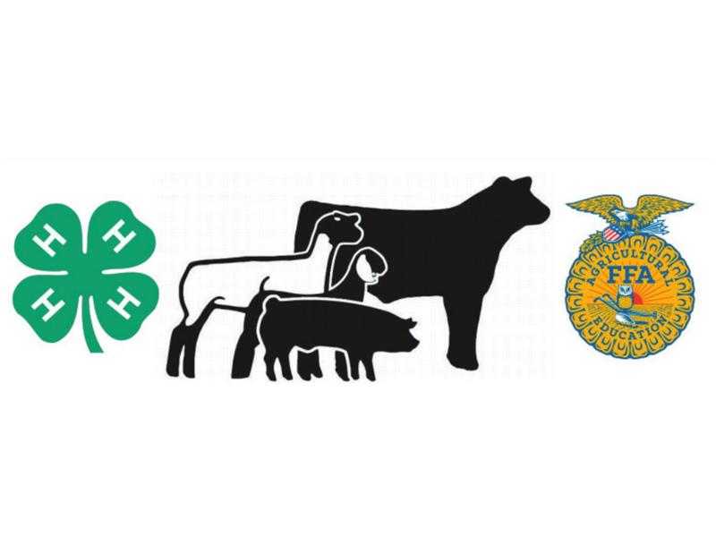 Logo for 2026 Wood County 4-H and FFA Summer Showcase